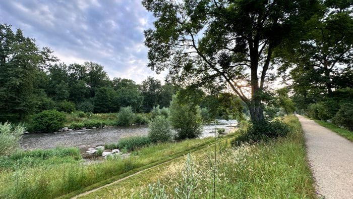 Landschaftspark Wiese