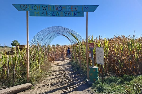 Pumpkin farm by Basel